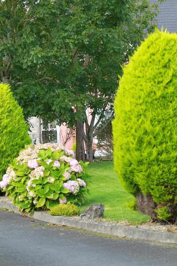 Отели типа «постель и завтрак» Parkhouse B&B Бунратти-6